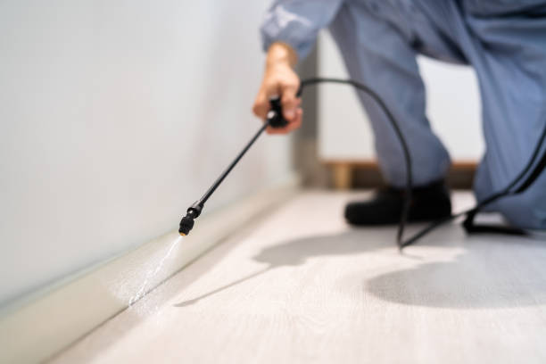 Licensed Termite Control service in Chaffee County County, CO - Nex Pest Control